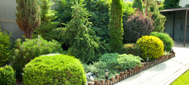 Озеленение и благоустройство территории: как превратить участок в уголок комфорта