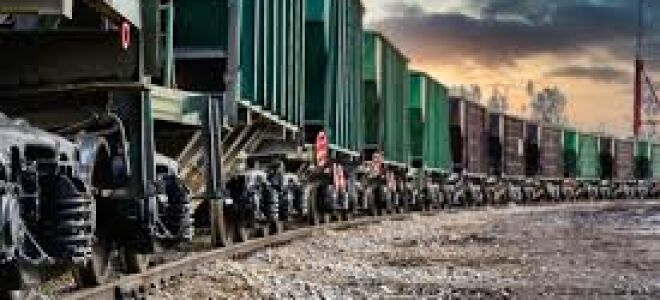 Грузоперевозки в Железнодорожном: как организовать переезд или доставку без лишних проблем