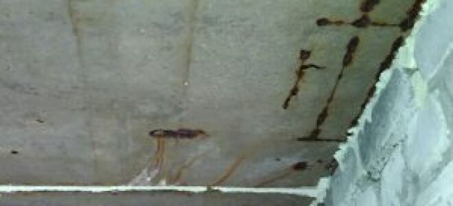 В гараже появился конденсат